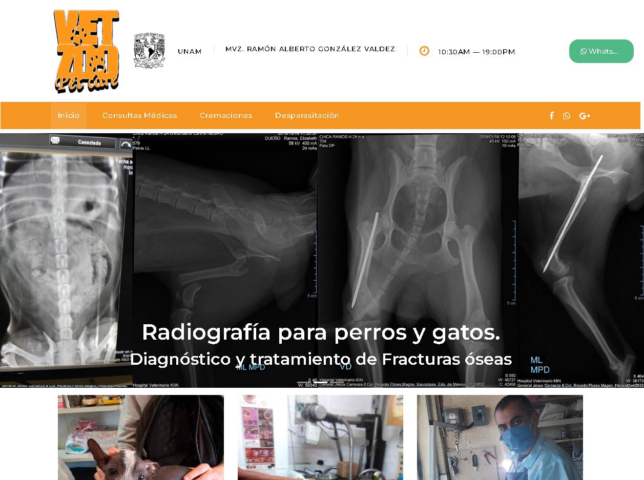  consultorio veterianario Conexionweb