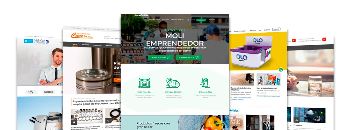Paginas Web Exitosas para tu Negocio